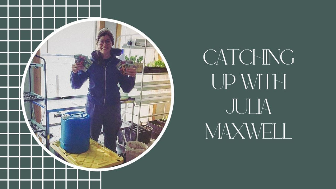 Catching Up with Julia Maxwell