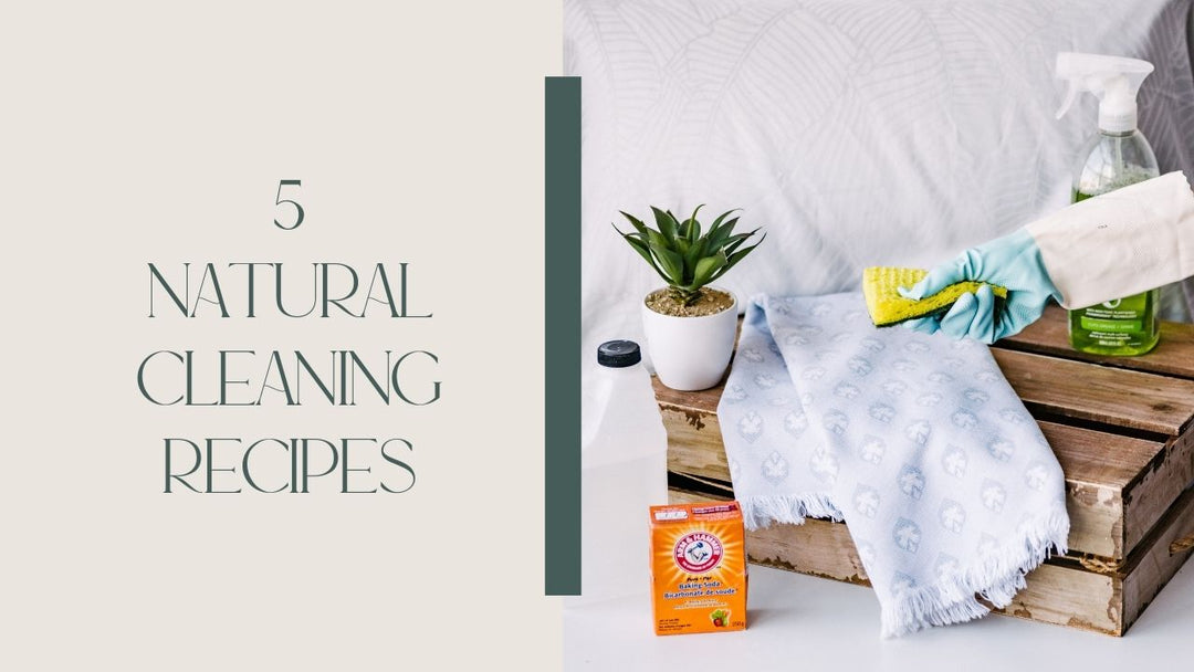 Spring Cleaning Tips with LNBF