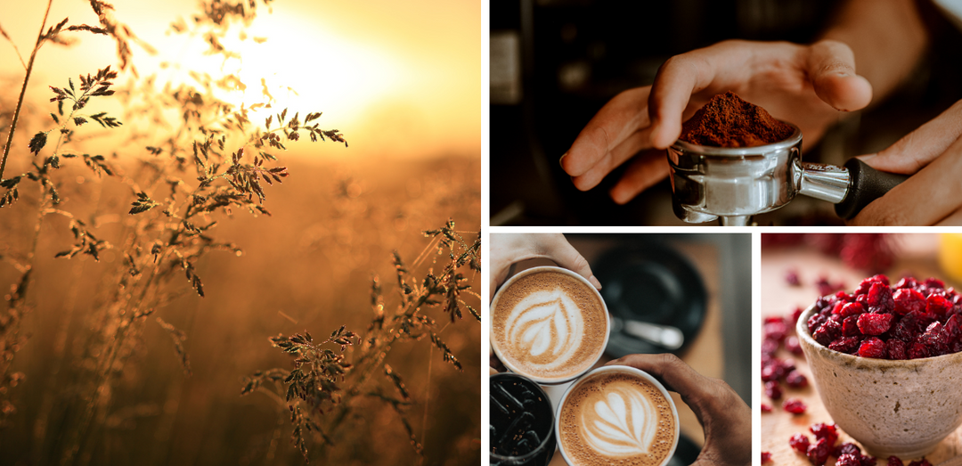 Cafe Dreaming - FW23 Collection Inspiration