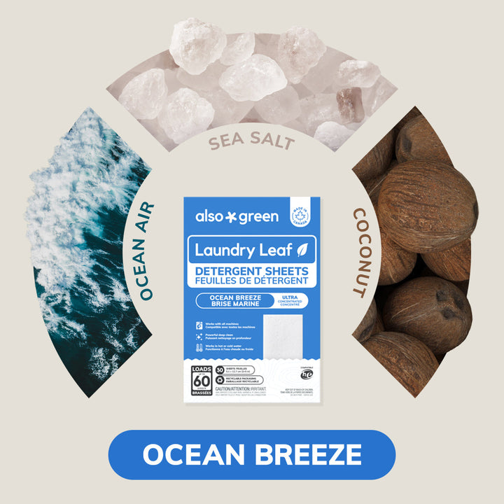 Laundry Detergent Sheets